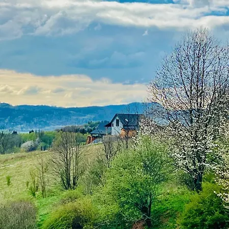 Gorska Przystan Dom Duza Sowka *